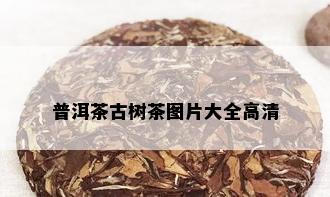 普洱茶古树茶图片大全高清