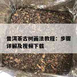 普洱茶古树画法教程：步骤详解及视频下载