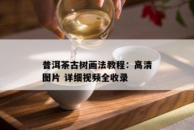 普洱茶古树画法教程：高清图片 详细视频全收录