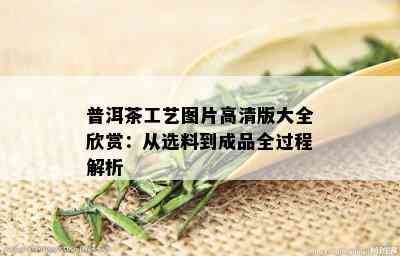 普洱茶工艺图片高清版大全欣赏：从选料到成品全过程解析