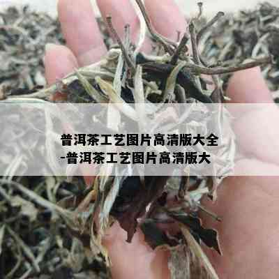 普洱茶工艺图片高清版大全-普洱茶工艺图片高清版大