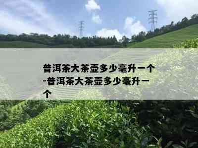 普洱茶大茶壶多少毫升一个-普洱茶大茶壶多少毫升一个