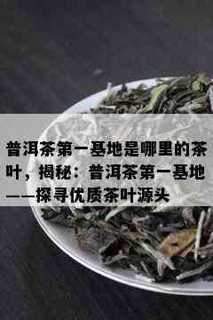 普洱茶之一基地是哪里的茶叶，揭秘：普洱茶之一基地——探寻优质茶叶源头