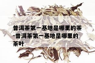 普洱茶之一基地是哪里的茶-普洱茶之一基地是哪里的茶叶