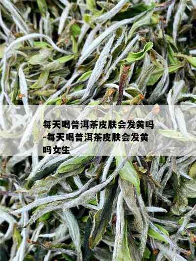 每天喝普洱茶皮肤会发黄吗-每天喝普洱茶皮肤会发黄吗女生