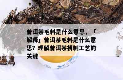 普洱茶毛料是什么意思，「解释」普洱茶毛料是什么意思？理解普洱茶初制工艺的关键