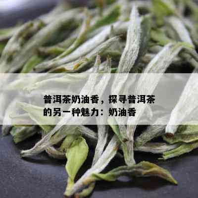 普洱茶奶油香，探寻普洱茶的另一种魅力：奶油香