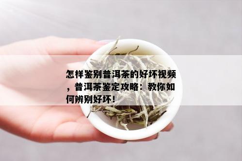 怎样鉴别普洱茶的好坏视频，普洱茶鉴定攻略：教你如何辨别好坏！