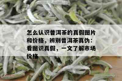 怎么认识普洱茶的真假图片和价格，辨别普洱茶真伪：看图识真假，一文了解市场价格