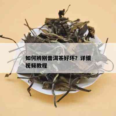 如何辨别普洱茶好坏？详细视频教程