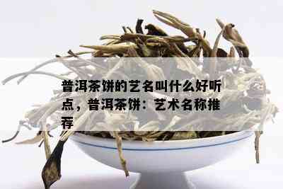 普洱茶饼的艺名叫什么好听点，普洱茶饼：艺术名称推荐