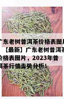 广东老树普洱茶价格表图片，【最新】广东老树普洱茶价格表图片，2023年普洱茶行情走势分析！