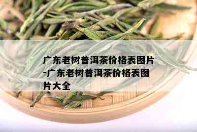 广东老树普洱茶价格表图片-广东老树普洱茶价格表图片大全