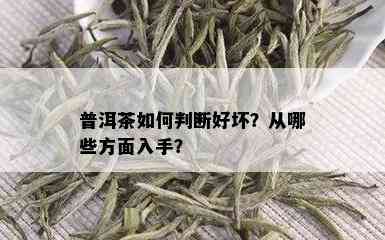 普洱茶如何判断好坏？从哪些方面入手？