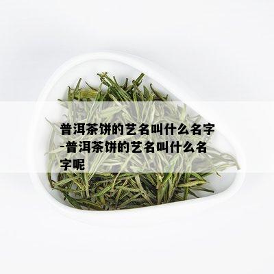 普洱茶饼的艺名叫什么名字-普洱茶饼的艺名叫什么名字呢