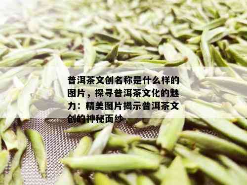 普洱茶文创名称是什么样的图片，探寻普洱茶文化的魅力：精美图片揭示普洱茶文创的神秘面纱