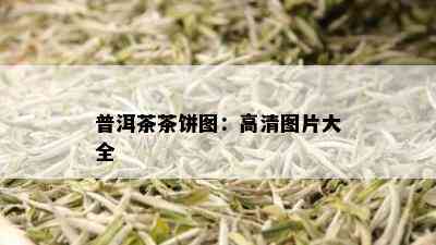 普洱茶茶饼图：高清图片大全