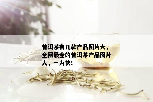 普洱茶有几款产品图片大，全网最全的普洱茶产品图片大，一为快！