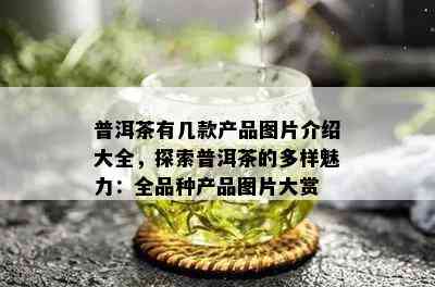 普洱茶有几款产品图片介绍大全，探索普洱茶的多样魅力：全品种产品图片大赏