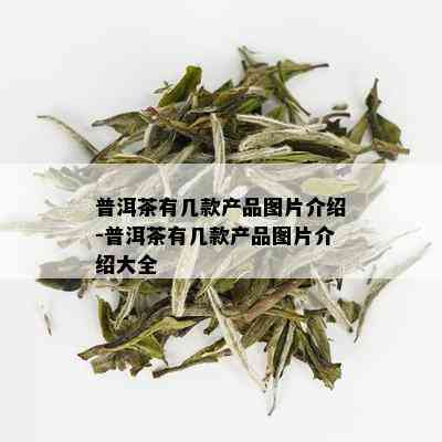 普洱茶有几款产品图片介绍-普洱茶有几款产品图片介绍大全