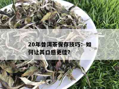 20年普洱茶保存技巧：如何让其口感更佳？