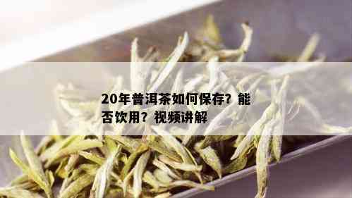 20年普洱茶如何保存？能否饮用？视频讲解