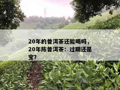 20年的普洱茶还能喝吗，20年陈普洱茶：过期还是宝？