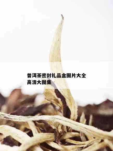 普洱茶密封礼品盒图片大全高清大图集