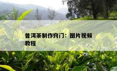 普洱茶制作窍门：图片视频教程