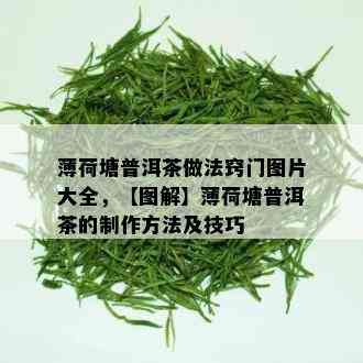 薄荷塘普洱茶做法窍门图片大全，【图解】薄荷塘普洱茶的制作方法及技巧