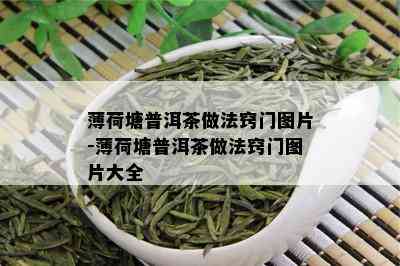 薄荷塘普洱茶做法窍门图片-薄荷塘普洱茶做法窍门图片大全