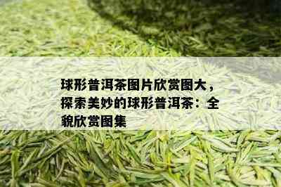 球形普洱茶图片欣赏图大，探索美妙的球形普洱茶：全貌欣赏图集