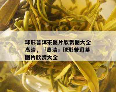 球形普洱茶图片欣赏图大全高清，「高清」球形普洱茶图片欣赏大全