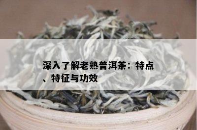 深入了解老熟普洱茶：特点、特征与功效