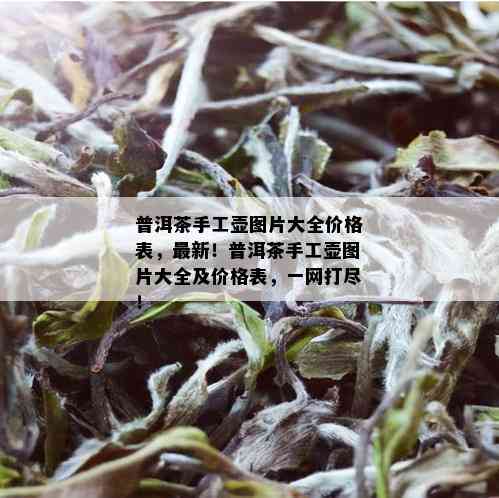 普洱茶手工壶图片大全价格表，最新！普洱茶手工壶图片大全及价格表，一网打尽！