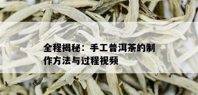 全程揭秘：手工普洱茶的制作方法与过程视频