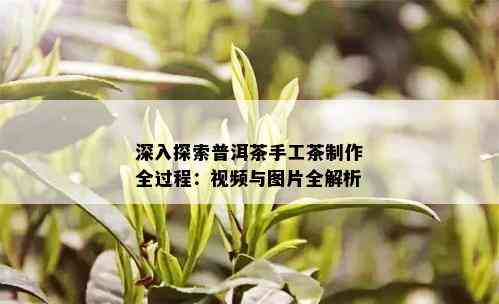 深入探索普洱茶手工茶制作全过程：视频与图片全解析