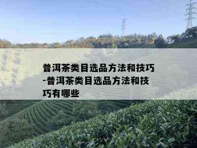 普洱茶类目选品方法和技巧-普洱茶类目选品方法和技巧有哪些