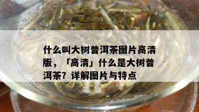 什么叫大树普洱茶图片高清版，「高清」什么是大树普洱茶？详解图片与特点