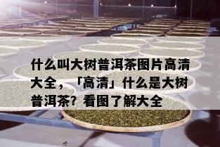 什么叫大树普洱茶图片高清大全，「高清」什么是大树普洱茶？看图了解大全