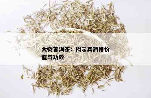 大树普洱茶：揭示其药用价值与功效