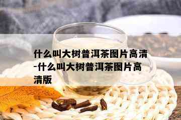 什么叫大树普洱茶图片高清-什么叫大树普洱茶图片高清版