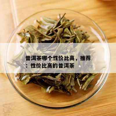 普洱茶哪个性价比高，推荐：性价比高的普洱茶