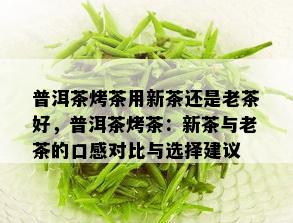 普洱茶烤茶用新茶还是老茶好，普洱茶烤茶：新茶与老茶的口感对比与选择建议