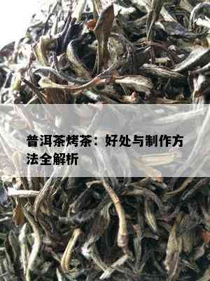 普洱茶烤茶：好处与制作方法全解析