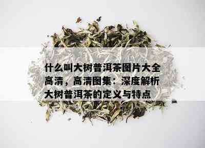 什么叫大树普洱茶图片大全高清，高清图集：深度解析大树普洱茶的定义与特点