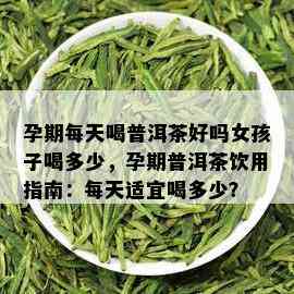 孕期每天喝普洱茶好吗女孩子喝多少，孕期普洱茶饮用指南：每天适宜喝多少？