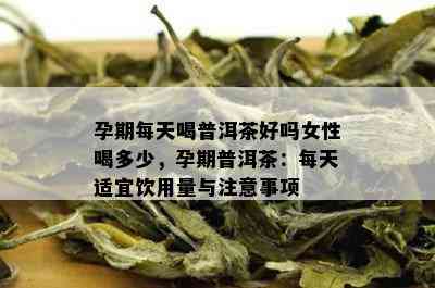 孕期每天喝普洱茶好吗女性喝多少，孕期普洱茶：每天适宜饮用量与注意事项