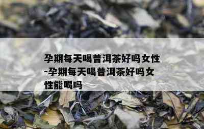 孕期每天喝普洱茶好吗女性-孕期每天喝普洱茶好吗女性能喝吗