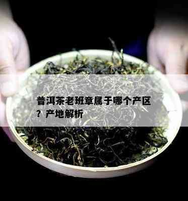 普洱茶老班章属于哪个产区？产地解析